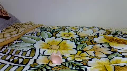 sexxyref_ online show from March 8, 2025, 11:48 am