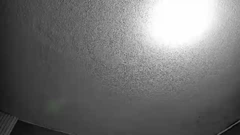 ELY online show from June 20, 2026, 7:38 pm