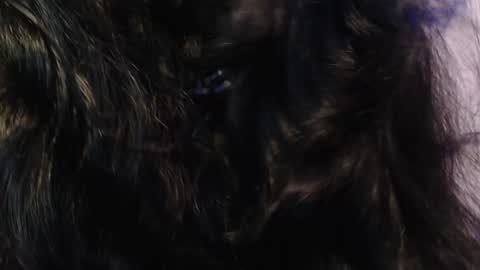    online show from January 15, 2025, 3:33 am