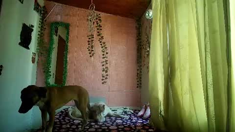 sexy lolas online show from July 17, 2026, 8:46 pm