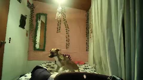 sexy lolas online show from August 7, 2026, 2:02 am