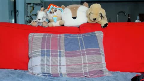 Ari online show from October 5, 2025, 5:33 pm