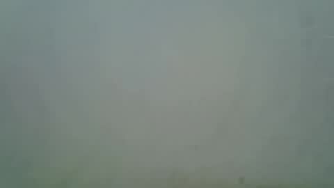 sexy liah online show from September 29, 2025, 10:53 am