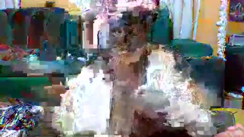 Snapshot of sexylo52 chatting on May 13, 2026, 11:07 am sexylo52 online show from May 13, 2026, 11:07 am