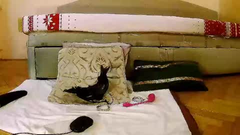 Squirty Maya Gold online show from January 16, 2025, 11:58 am