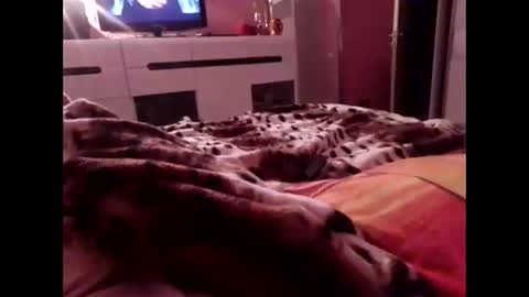 Snapshot of sexypairjuly chatting on November 4, 2025, 11:15 pm sexypairjuly online show from November 4, 2025, 11:15 pm