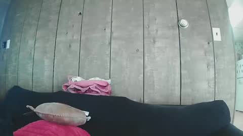 sexystripper69 online show from February 19, 2025, 10:09 pm