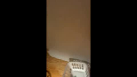 Smooth bi guy online show from February 11, 2026, 7:02 am