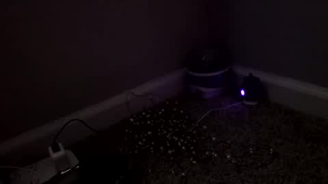 Snapshot of sgrbrnxxx chatting on March 4, 2026, 3:18 pm Sugar Brown online show from March 4, 2026, 3:18 pm