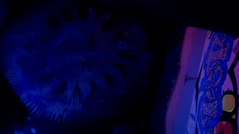 shagz2much online show from January 27, 2025, 11:54 am