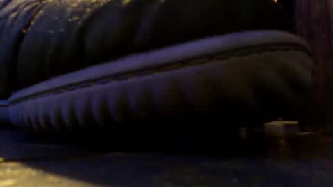 shagz2much online show from March 3, 2025, 2:48 pm