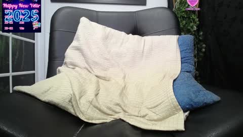 Snapshot of shailayojana chatting on January 11, 2025, 1:37 am Shaila online show from January 11, 2025, 1:37 am