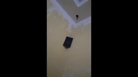 shams444 online show from February 15, 2026, 8:16 pm