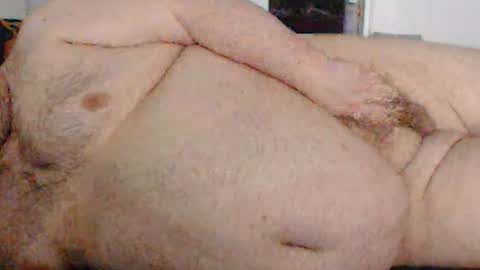 shanata1 online show from January 22, 2025, 9:02 am