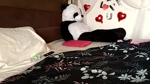 Shanaya Kappor online show from February 22, 2026, 10:36 am