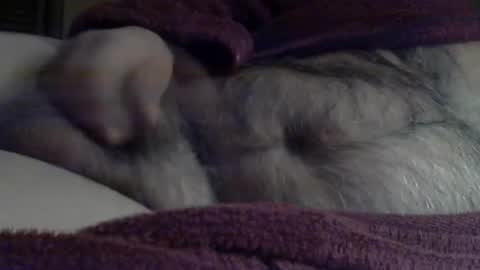 Snapshot of sharkey644 chatting on March 3, 2026, 9:04 am Sharkey644 online show from March 3, 2026, 9:04 am