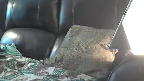 Snapshot of sharkey644 chatting on March 26, 2026, 3:28 pm Sharkey644 online show from March 26, 2026, 3:28 pm