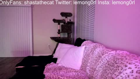 Snapshot of shastathecat chatting on December 15, 2024, 3:56 am Shasta online show from December 15, 2024, 3:56 am