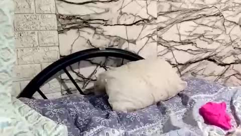 shayka09 online show from March 23, 2026, 5:44 am