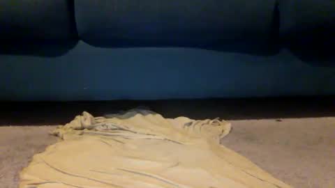 Snapshot of shazbot84 chatting on April 10, 2026, 4:06 am shazbot84 online show from April 10, 2026, 4:06 am