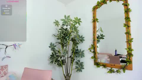 Shego  online show from November 26, 2025, 12:22 am