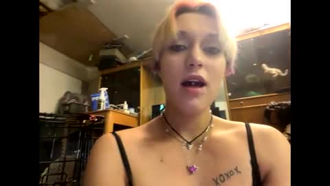 Shelby holes online show from December 29, 2024, 1:49 pm
