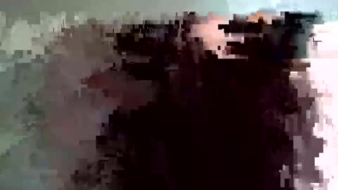 shelfeesh online show from November 18, 2025, 9:36 am