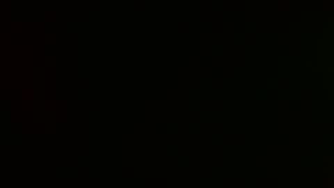 Snapshot of sherry_l chatting on March 16, 2026, 11:47 am sherry_l online show from March 16, 2026, 11:47 am