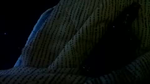 Snapshot of showornot_2 chatting on January 11, 2026, 7:35 am showornot_2 online show from January 11, 2026, 7:35 am