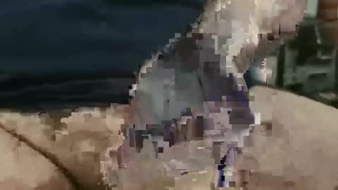 Snapshot of showsme chatting on September 22, 2025, 12:07 pm showsme online show from September 22, 2025, 12:07 pm