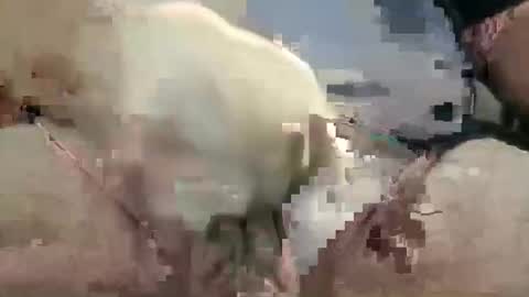 Snapshot of showsme chatting on October 28, 2025, 10:52 am showsme online show from October 28, 2025, 10:52 am