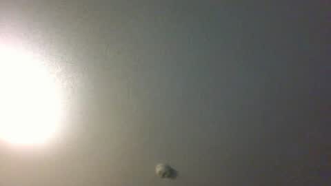 showuthed online show from July 14, 2026, 2:38 am