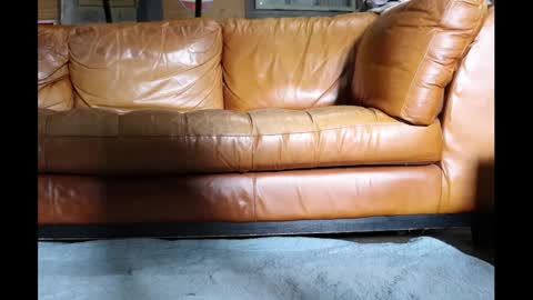 shrimp_stuck online show from February 6, 2025, 5:30 pm