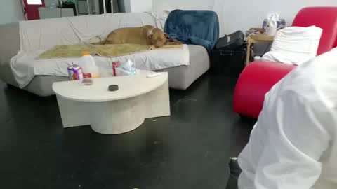 shuim66 online show from February 6, 2026, 9:12 am