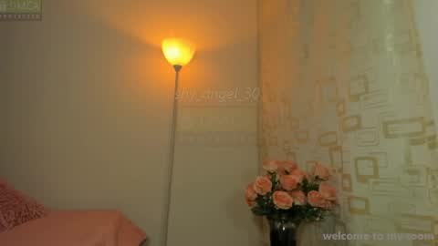 Snapshot of shy_angel_30 chatting on August 4, 2026, 6:21 pm Angel online show from August 4, 2026, 6:21 pm