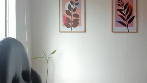 shylittlebunny online show from June 9, 2026, 3:34 pm