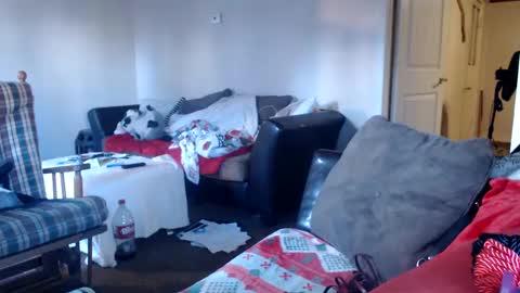 shysexysub24 online show from December 12, 2024, 9:48 pm