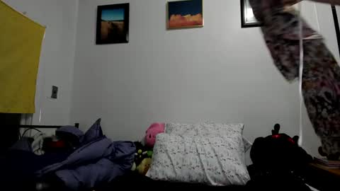 Sierra online show from January 23, 2025, 4:41 am