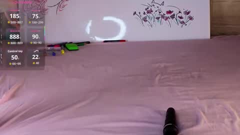 Snapshot of silly___woman chatting on October 15, 2025, 3:01 pm silly___woman online show from October 15, 2025, 3:01 pm