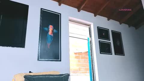 silvabranko online show from March 6, 2026, 9:11 pm