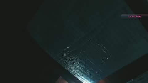 Snapshot of silvabranko chatting on April 27, 2026, 2:09 am silvabranko online show from April 27, 2026, 2:09 am