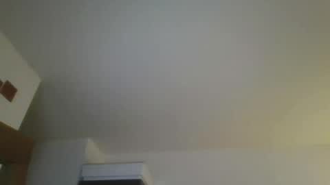Snapshot of silverfunfox chatting on July 13, 2026, 2:14 am silverfunfox online show from July 13, 2026, 2:14 am