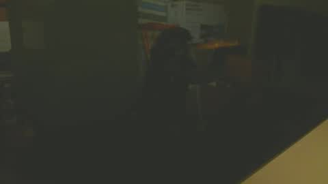 silvin76 online show from January 6, 2025, 5:08 am