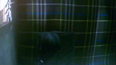 simply__me online show from February 16, 2026, 12:07 am