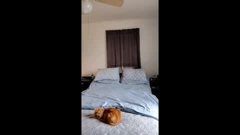 simplysarah1225 online show from February 17, 2026, 4:24 pm