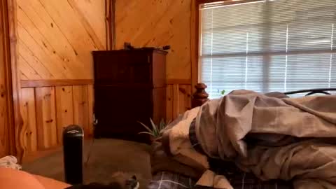 sinfull2022 online show from February 1, 2026, 4:38 pm