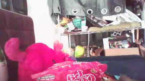 Snapshot of siofra chatting on February 9, 2025, 6:26 pm Siofra online show from February 9, 2025, 6:26 pm