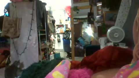 Siofra online show from July 29, 2026, 5:44 pm