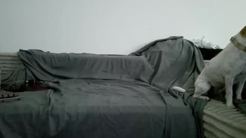 sircheese69x2 online show from June 6, 2026, 8:19 am