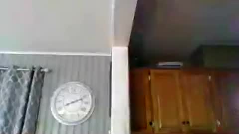 SirMike80 online show from July 3, 2026, 12:11 pm